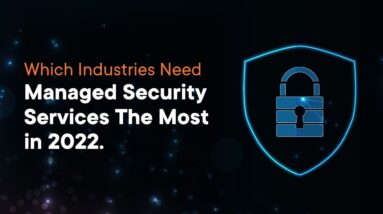 Which Industries Need Managed Security Services The Most || Ace Managed Security Services